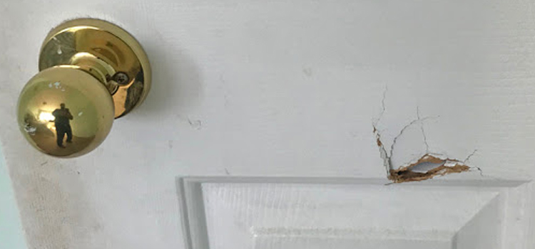interior door hole repair Spring Valley